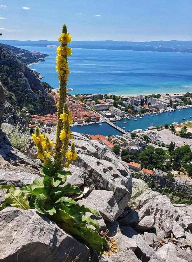 Ferienwohnung Amazing Sea View Omiš Exterior foto